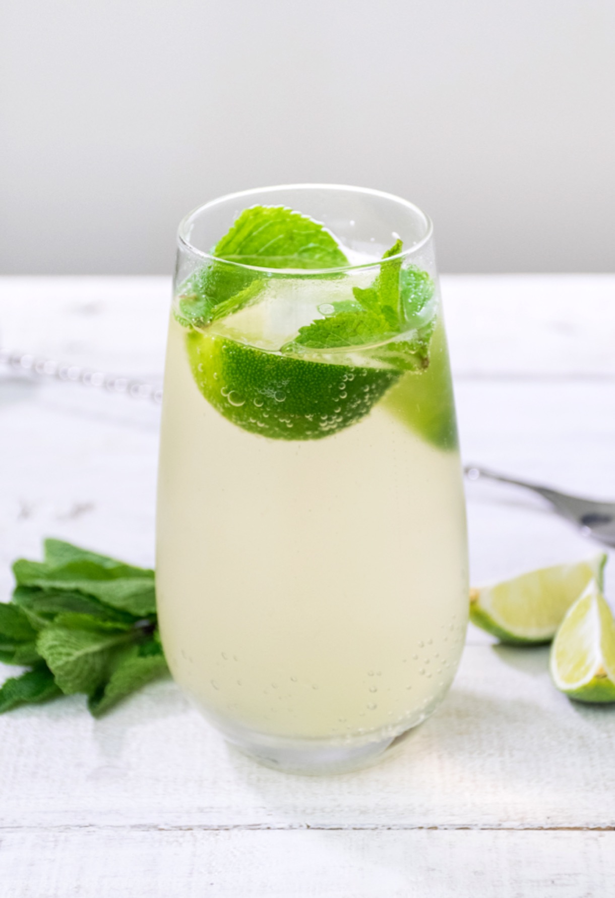 Tasty Mojito Cocktail - Altea Cristiana